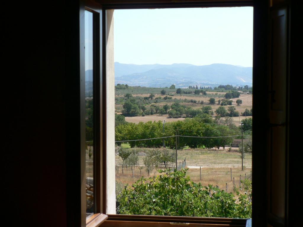 La Palombaia Guest House Spoleto Exterior photo